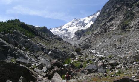 Saas-Fee zomer